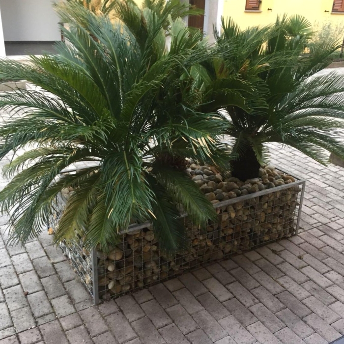 Gabioni punjeni granulatom - posuda za biljke